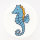 Dill Motivknopf Seepferdchen, weiß, 17 mm